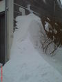 DSC00114.jpg