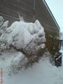 DSC00116.jpg