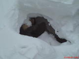 DSC00119.jpg