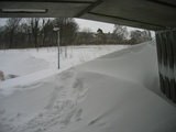 IMG_1003.jpg