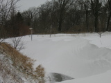 IMG_1004.jpg
