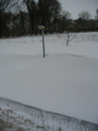 IMG_1005.jpg
