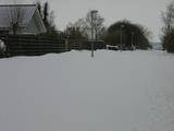 IMG_1007.jpg