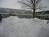 IMG_1009.jpg