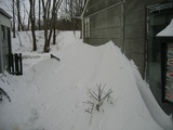 IMG_1010.jpg