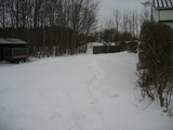 IMG_1011.jpg