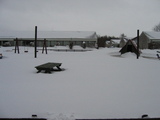 IMG_1013.jpg