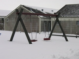 IMG_1016.jpg