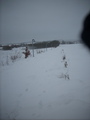 dscn2503.jpg